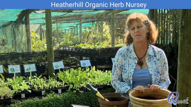 MyQuest - Heatherhill Herb Nursery Vloggumentary смотреть онлайн