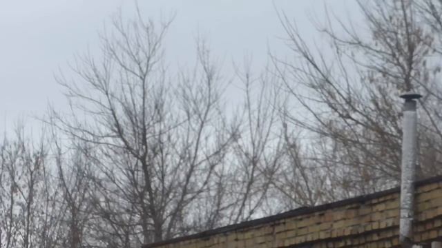 Ходовой КХ апреля (Ч.1. зомбиленд)