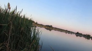 ЛОВЛЯ КАРАСЯ В ЖАРУ. РЫБАЛКА НА ПОПЛАВОК .НАСАДКА НА КАРАСЯ.