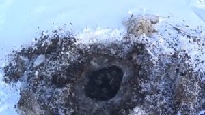 Спецвыпуск!Замор рыбы. Заканчивается кислород в водоемах. Гибель рыбы зимой.