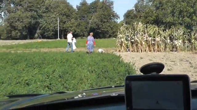 Привольное 09-27-2011_150708 смотреть онлайн