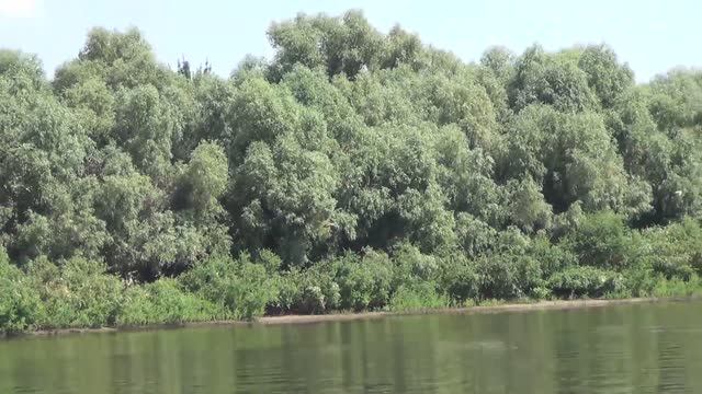 Рыболовное путешествие по рекам Ахтуба, Волга, Енотаевка. 2013