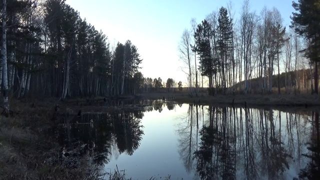 Места где я ловлю. Старица реки Чусовой неподалеку от поселка Раскуиха. смотреть онлайн