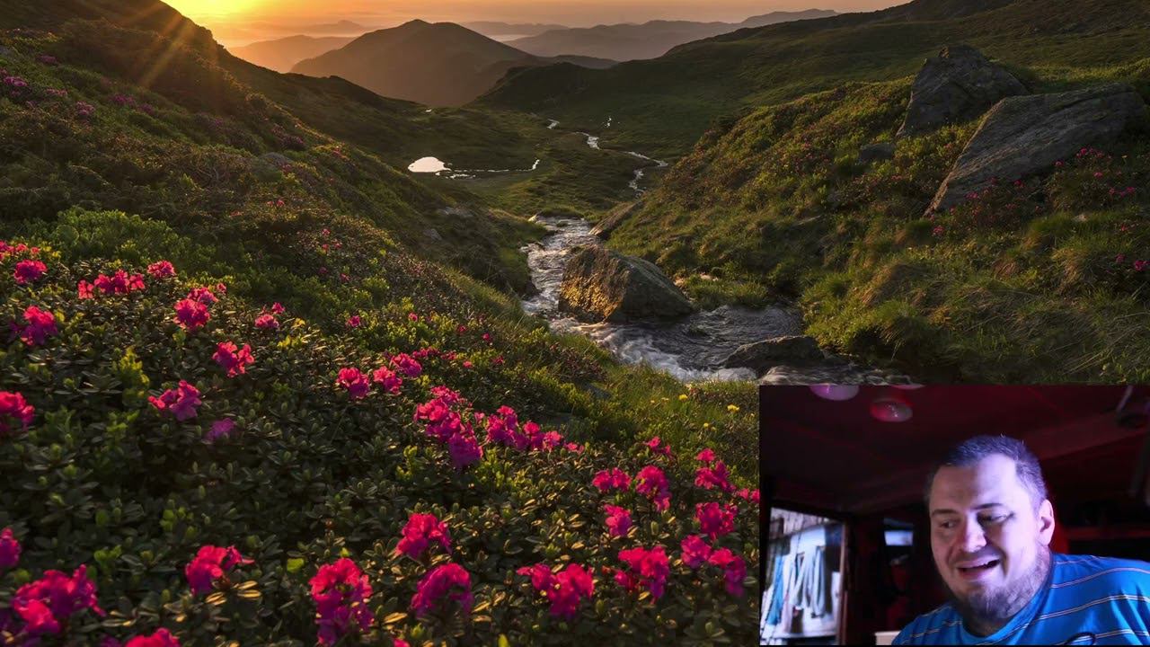 Почему в СВО столько странностей? Ответ на волнующий многих вопрос. смотреть онлайн