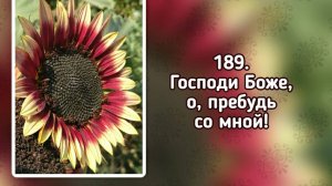 Гимны надежды 189 Господи Боже, о, пребудь со мной! (-)