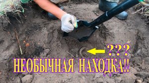 НЕОБЫЧНАЯ НАХОДКА НА ШУРФЕ! Копатель ДИВ Кладоискатель