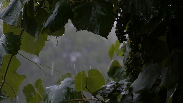 1hour Piano Relaxing Music // Deep Sleep Music //Rain Sound // Royalty Free