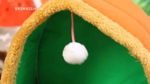 ПОЧЕМУ ИСЧЕЗ ТОЛИК? ЗООПОКУПКИ с NEWCHIC / SvinkiShow