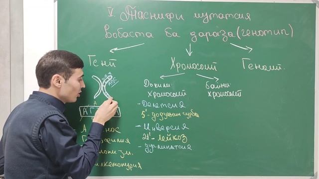 ТАГИИРПАЗИРИ. МУТАТСИЯ, КОМБИНАСИЯ. МОДИФИКАСИЯ. смотреть онлайн