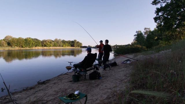 🐠КАРАСЬ КЛЮЕТ каждую минуту смотреть онлайн