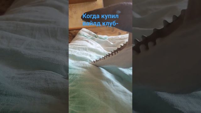 Прикол-он купил вайлд клуб🤣