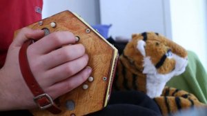 How to play A Drop of Nelson's Blood on concertina (Tutorial)