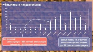 Семена чиа VS семена льна: что полезнее? Сравним чиа и лён - для рецептов правильного питания