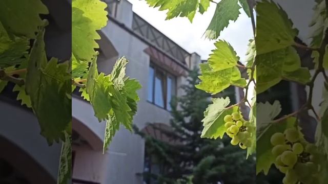 Скажи, только честно...Автор Макс Терн читает Виктор Молчанов