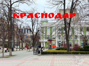 Выходные в Краснодаре. Зима на Кубани.