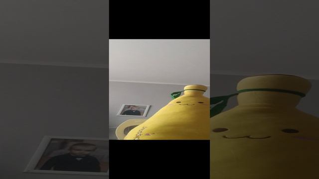 фрукты