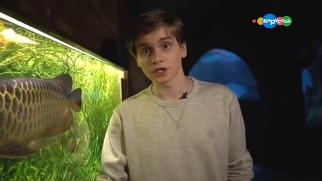 Арована. В мире животных с Николаем Дроздовым смотреть онлайн