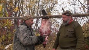 Разделка бобра - в работе нож Алексея Жбанова "Бобр"