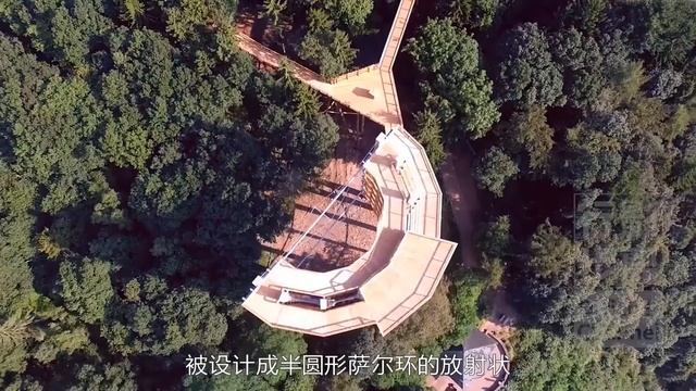 全球最美的8條樹頂小徑，無障礙空中漫步，連輪椅和嬰兒車也沒問題，8 of the most beautiful tree top trails in the world смотреть онлайн