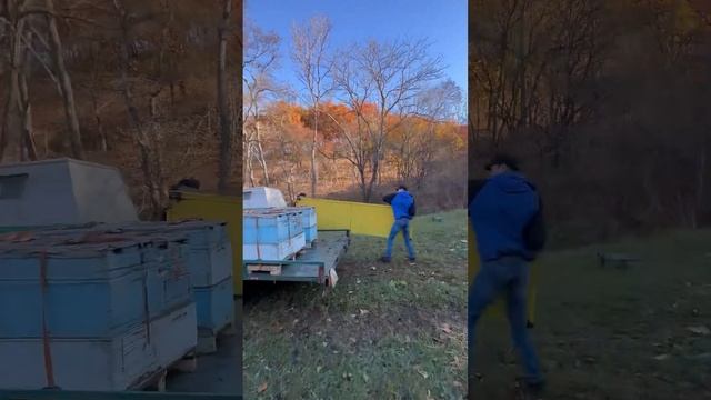 Кочевая пасека. Перевозим пчел на зимовку