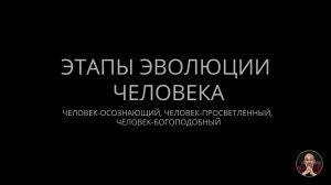 Этапы эволюции человека