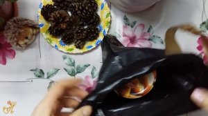 Сосновые шишки в помощь сосудам