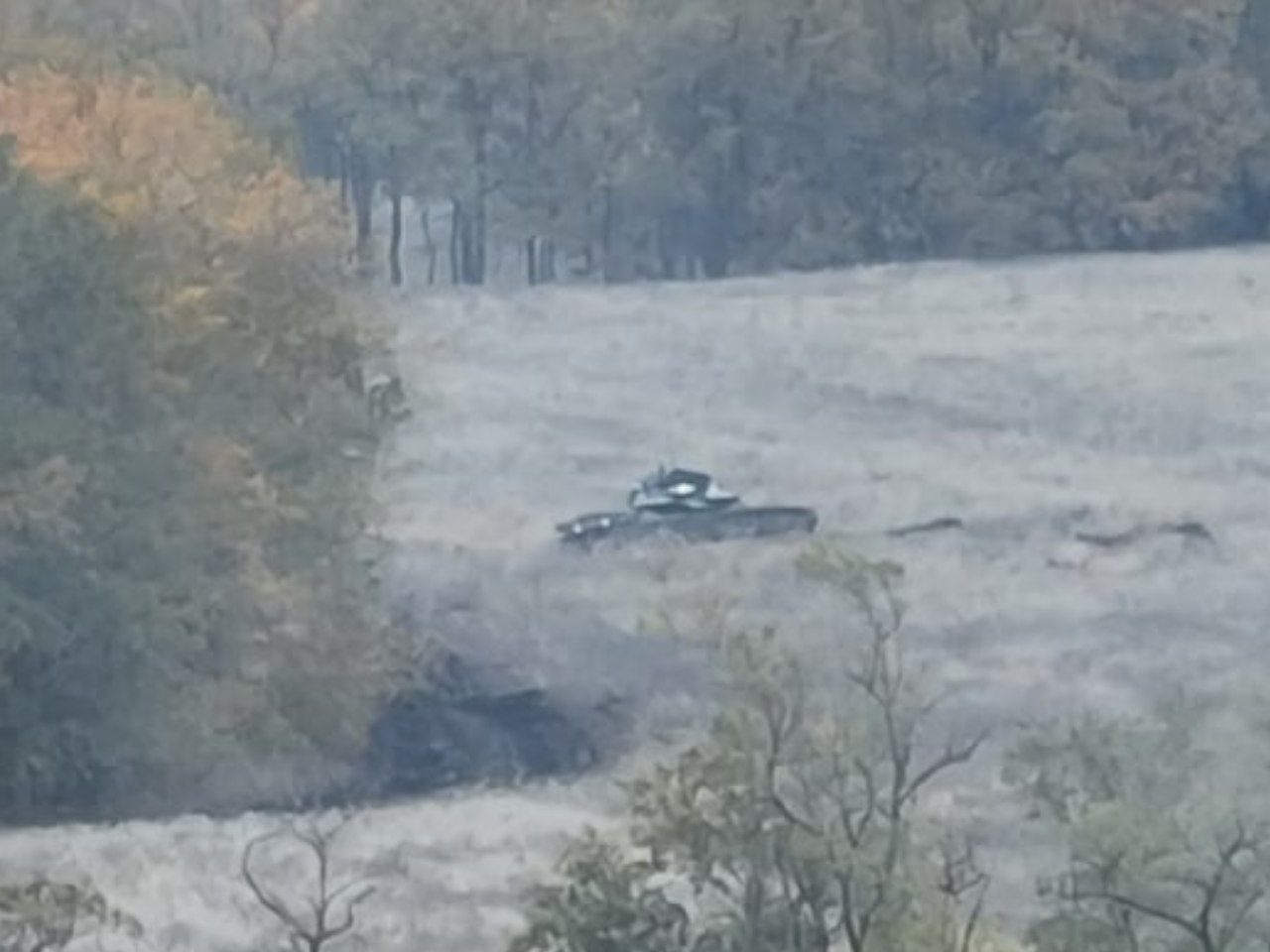 🇷🇺🇺🇦Под Кременной разведчики уничтожили украинский танк. смотреть ...