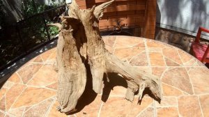 Коряга из дуба