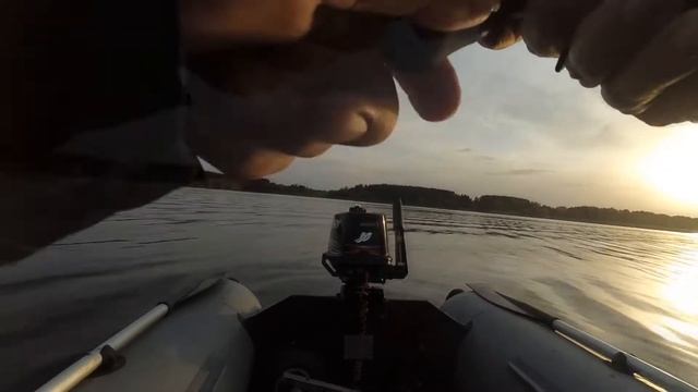 Ловля окуня на Дропшот. Можайское водохранилище. смотреть онлайн