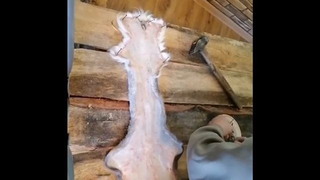 ПРИМЕНЕНИЕ ОЛЕНЬЕЙ ШКУРЫ. Часть 1.