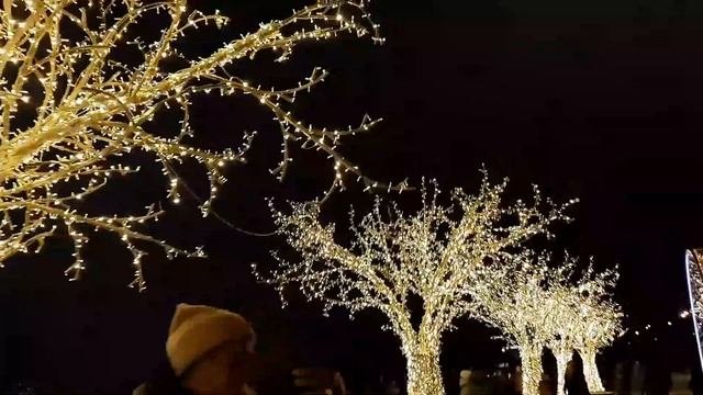 ВОРОБЬЁВЫ ГОРЫ???Как гуляют в Москве на новогодние праздники ???#воробьевыгоры #поклоннаягора #2022