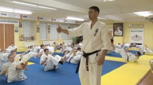Киокусинкай - Мастер-класс Дениса Григорьева в г. Красноярске 2022 г.