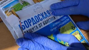 Первая весенняя обработка винограда после зимы от болезней (грибковых заболеваний) и вредителей