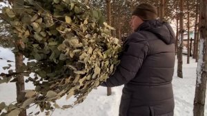 Кормление кроликов ветками