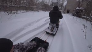 Мотобуксировщик Альбатрос Л-9, второй день обкатки, собака работает без проблем, я выпал из волокуш