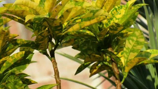 Canon ixus 190 sample image Title смотреть онлайн