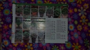 АСМР каталог OBI|шепот|шуршания|обводка букв|обводка кисточкой