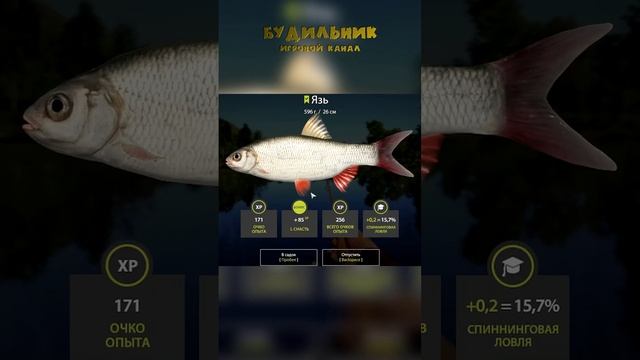 Russian Fishing 4? КАК ВСЁ НАЧИНАЛОСЬ #1 ● Уютный симулятор рыбалки #shorts