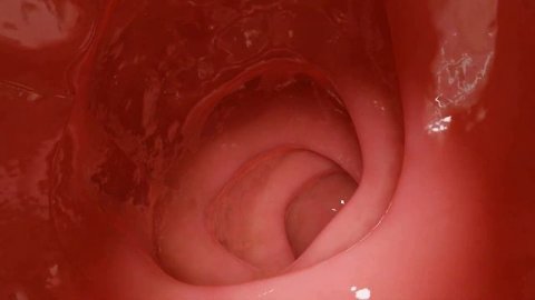 Full Tour with Bunsen!