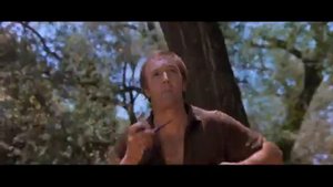Айяяйяяяяй Наверное боги сошли с ума   Henry Morgan