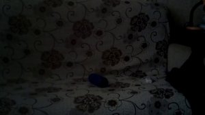 как включить колонку gpl