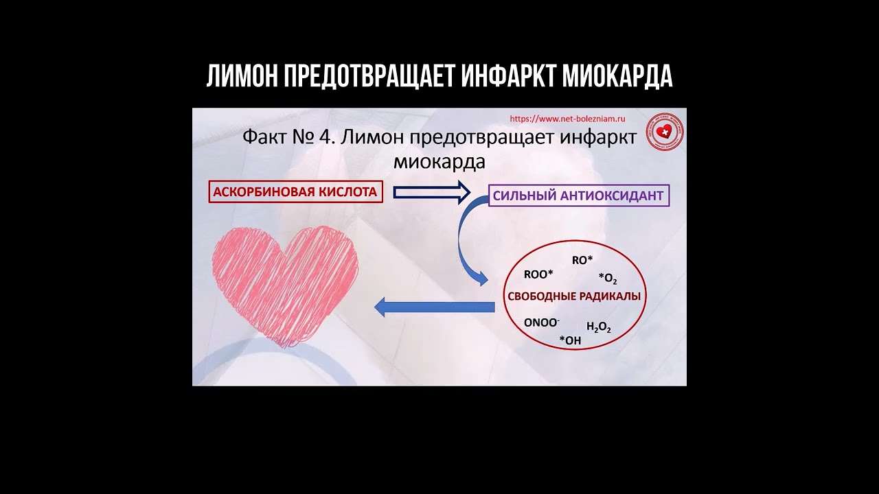 Лимон предотвращает инфаркт миокарда смотреть онлайн