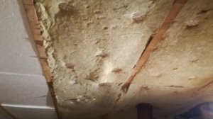 Утепление гаража