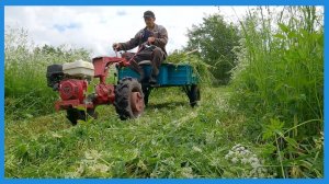 Вести с полей, одни петухи, ливни и чуток стройки // Хозяйство в деревне