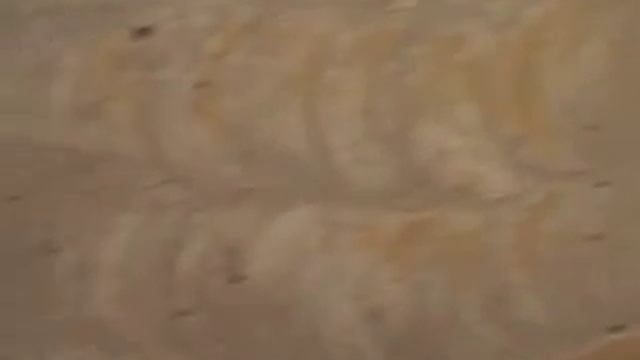 Удаление, снятие старой краски со стен смотреть онлайн