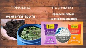 5 ВАРИАНТОВ КРИВОГО ОГУРЦА / ПРИЧИНЫ / КАК ИСПРАВИТЬ