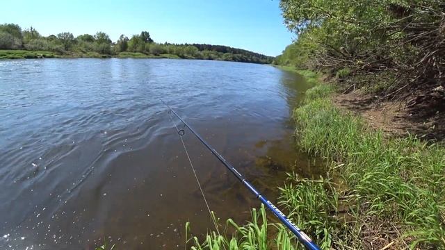 ГОЛАВЛЬ и не только . Донки ... Снасть . 2 часть . смотреть онлайн