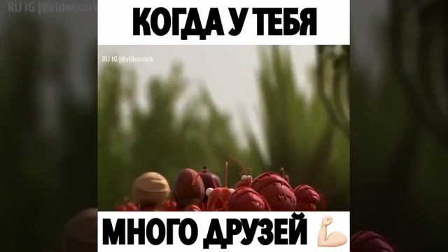 когда у тебя много друзей. мультик смотреть онлайн