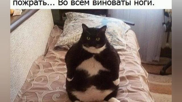 Подборка смешных картинок на каждый день. Часть 3. ?
