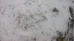 Тест пороха сокол партия 08/20 и 04/19